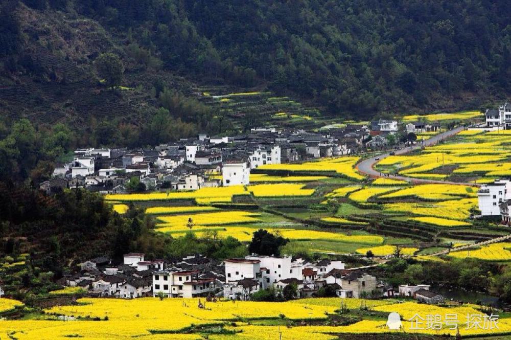 红色足迹,绿色画卷,江西——红色摇篮,绿色家园