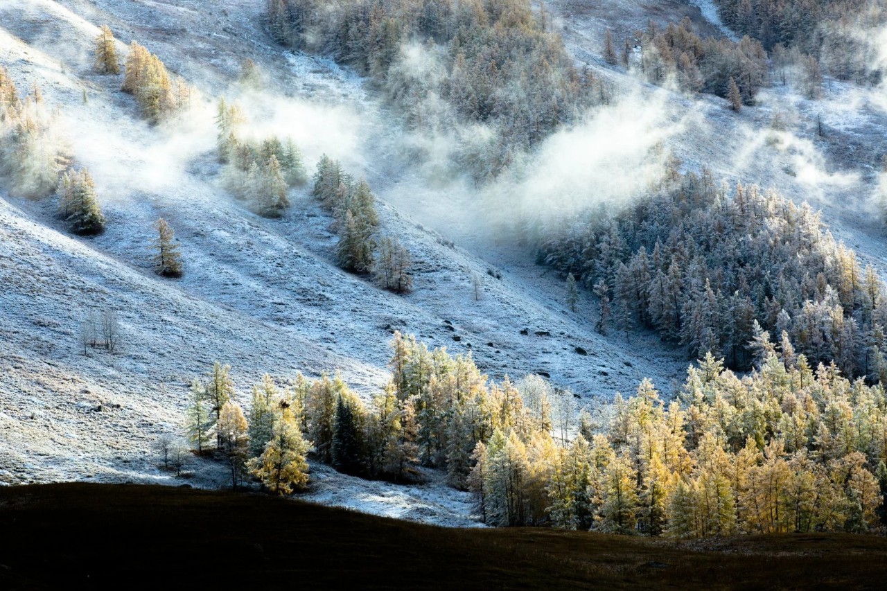 新疆之行，心之所向的深度感悟